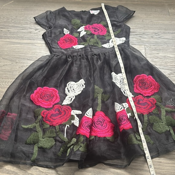 L’atiste | By Amy Floral Embroidered Dress - Black and Pink Size Small - Picture 9 of 14
